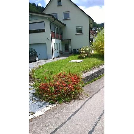 Ferienwohnung Haus Marion Todtnau Exterior foto