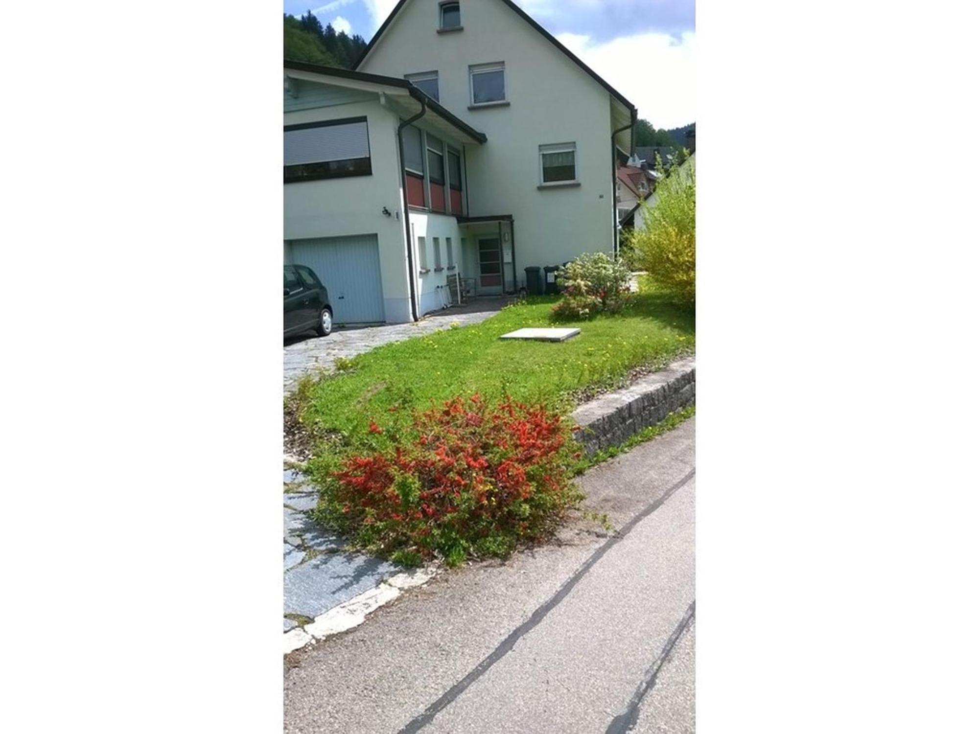 Ferienwohnung Haus Marion Todtnau Exterior foto